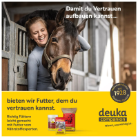 deukavallo Magnesium + B-Vit 750 g