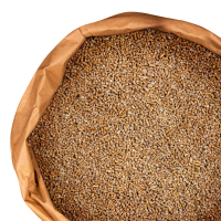 deuka G/E Starter gek. 25 kg